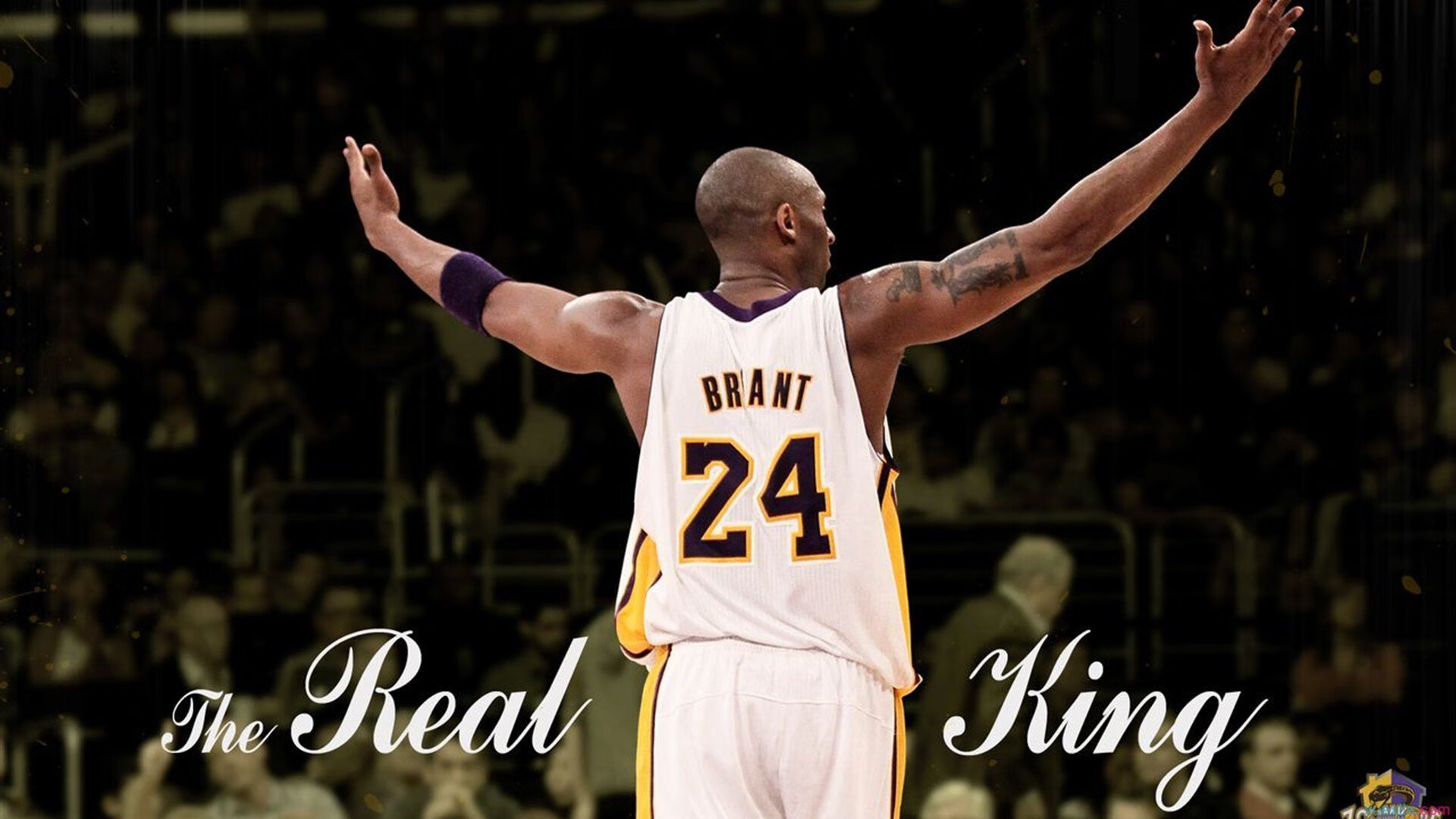 Faker新星出色防守表现惊艳，篮网未来可期！